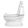 Picture of My Real Potty
