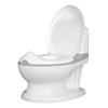 Picture of My Real Potty
